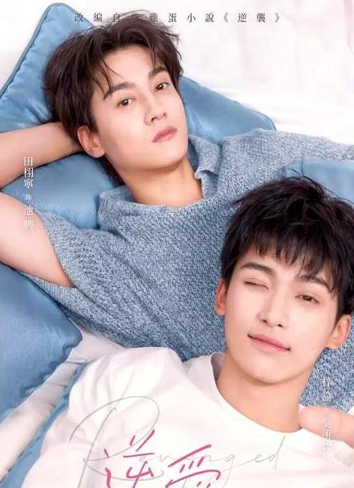 娱乐圈全民男神类似_《娱乐圈全民男神》_全民男神圈娱乐类似小说推荐