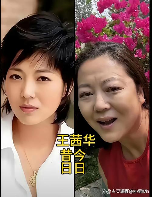 女明星变老_明星变老照片_明星变老后的样子