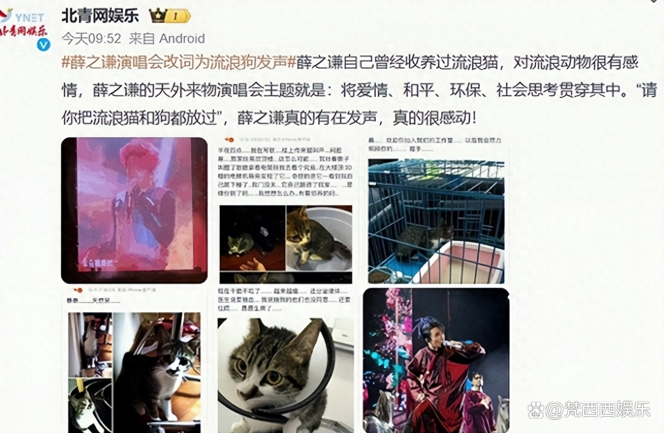 狗年明星热点,_斓曦删除动态_明星回应流浪狗事件