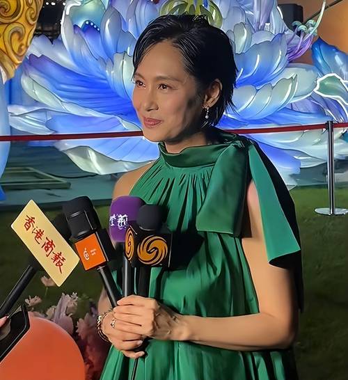 朱茵娱乐圈_港台明星朱茵_明星小说朱茵