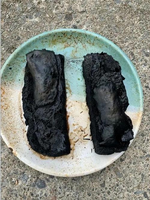 明星黑暗料理翻车现场：排队4小时就为吃这一口？