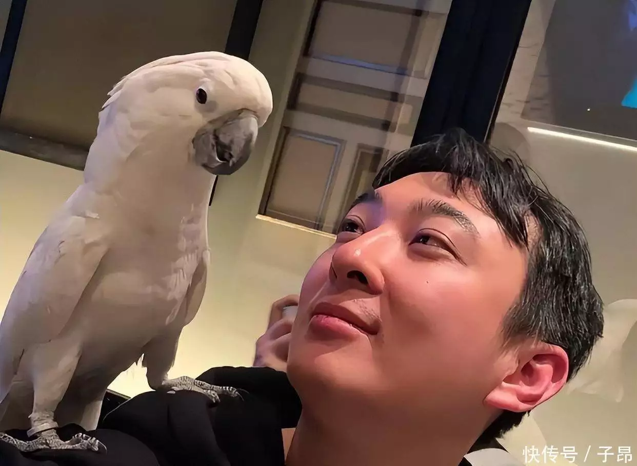 国民男友卷入_美女解约事件_明星黑料太多,